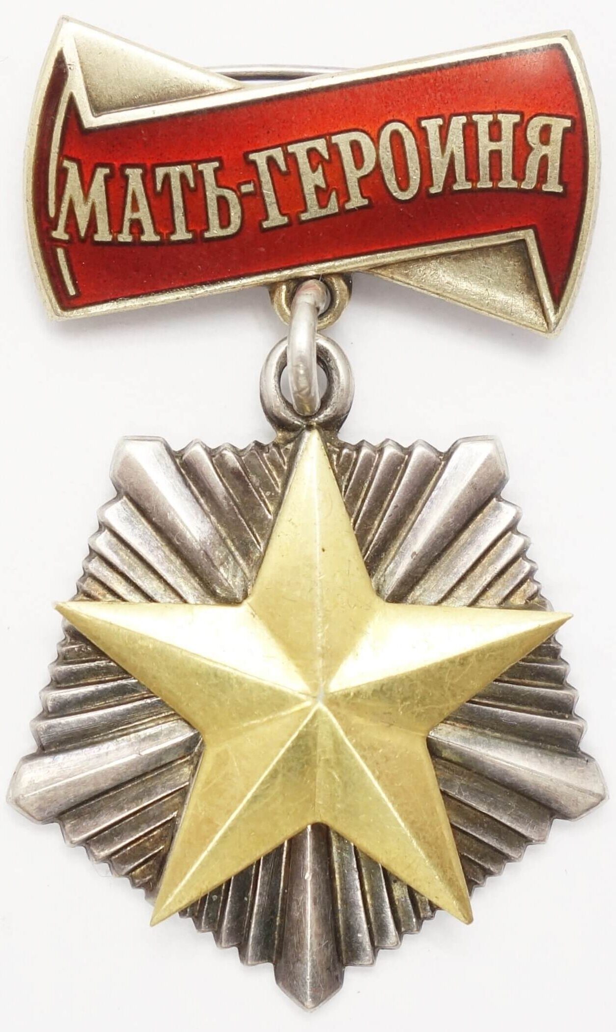 Soviet Order of Mother Heroine #244080